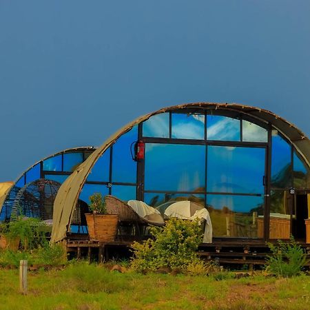 Amanya 2-Rooms Lioness Family Amboseli Exterior photo